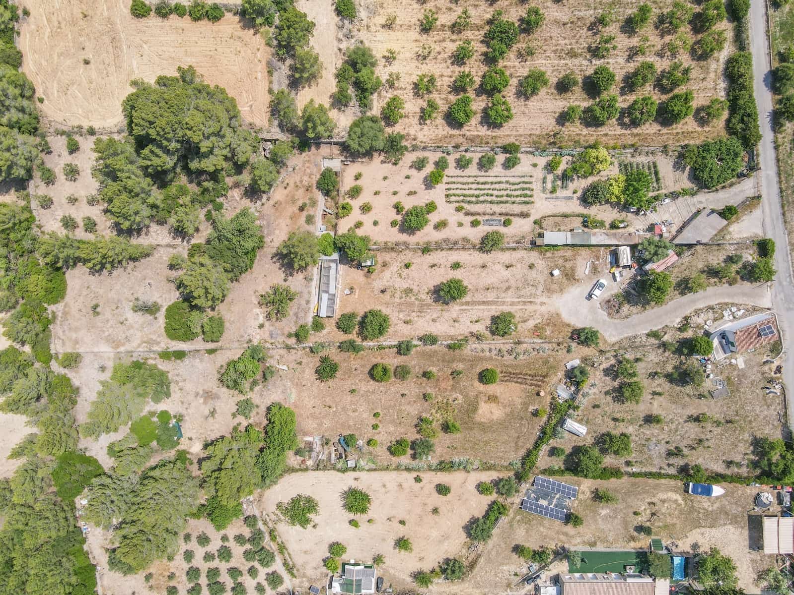 Undeveloped Land for sale in Calvia - € 180,000 (Ref: 9879873)