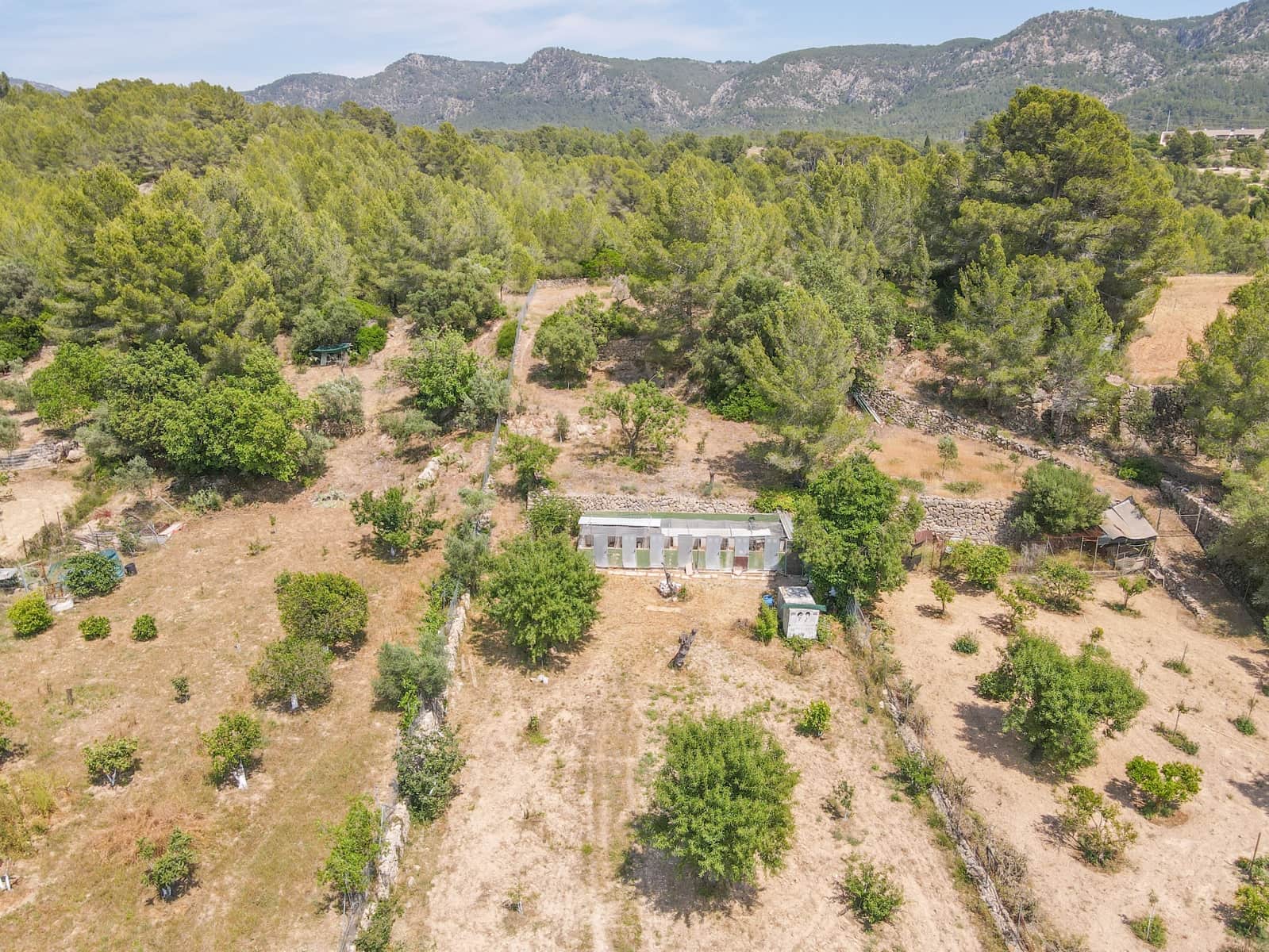 Undeveloped Land for sale in Calvia - € 180,000 (Ref: 9879873)
