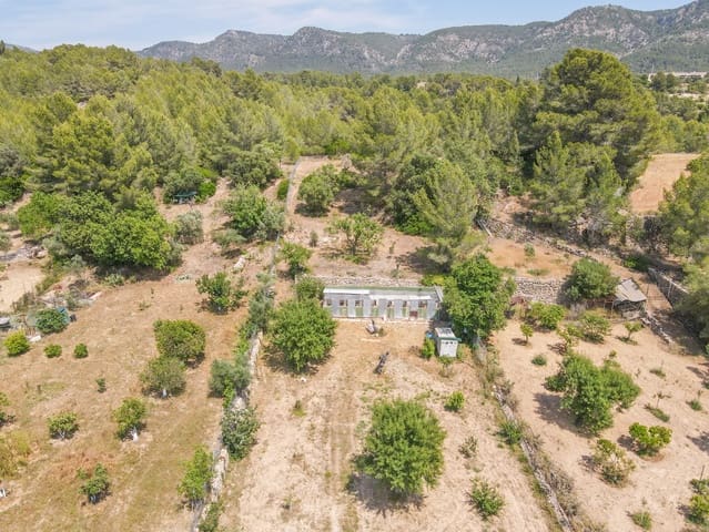 Undeveloped Land for sale in Calvià Pueblo, Calvià - € 180,000 (Ref: 9879873)