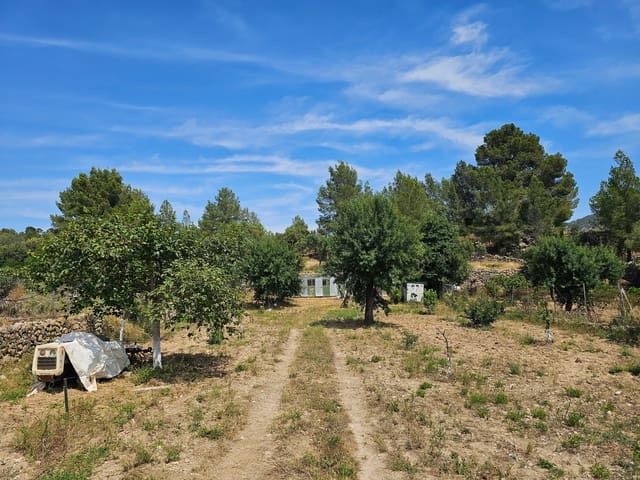Undeveloped Land for sale in Calvià Pueblo, Calvià - € 180,000 (Ref: 9879873)