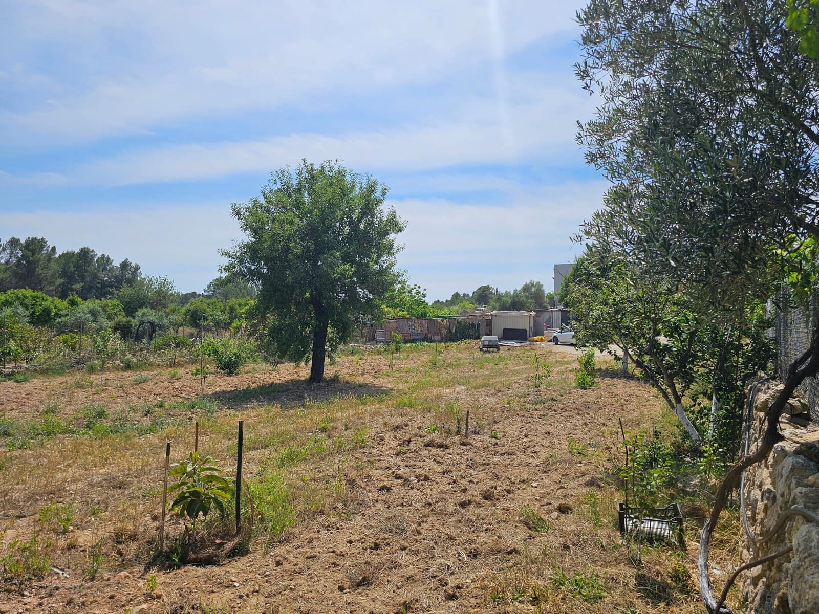 Undeveloped Land for sale in Calvia - € 180,000 (Ref: 9879873)