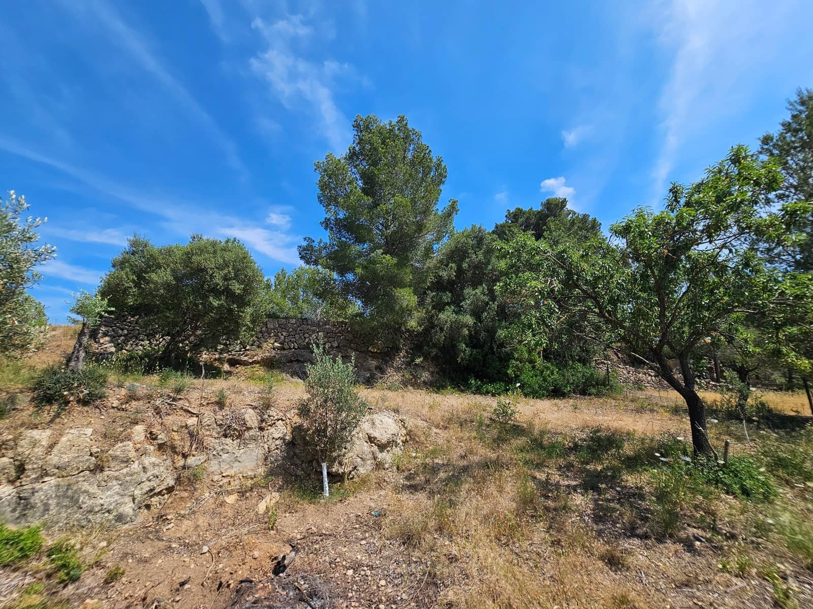 Undeveloped Land for sale in Calvia - € 180,000 (Ref: 9879873)