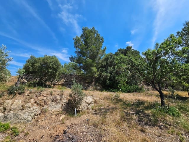 Undeveloped Land for sale in Calvià Pueblo, Calvià - € 180,000 (Ref: 9879873)