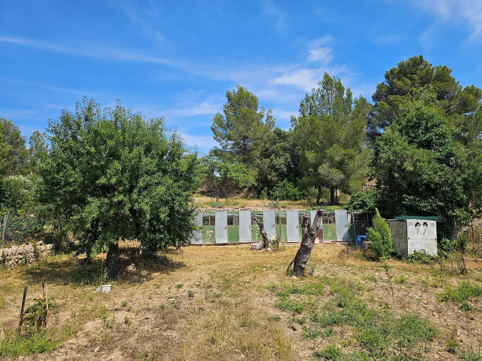 Undeveloped Land for sale in Calvia - € 180,000 (Ref: 9879873)