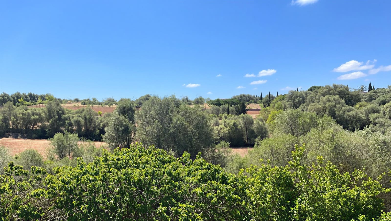 6 slaapkamer Finca/Landhuis te koop in Llucmajor met zwembad garage - € 2.400.000 (Ref: 9899809)