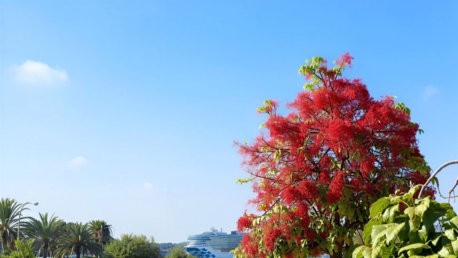 3 bedroom Apartment for rent in Palma de Mallorca - € 2,100 (Ref: 9938691)