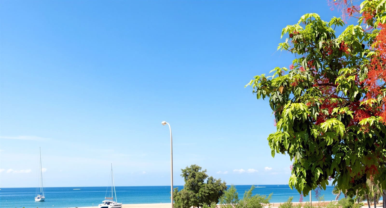 3 bedroom Apartment for rent in Palma de Mallorca - € 2,100 (Ref: 9938691)