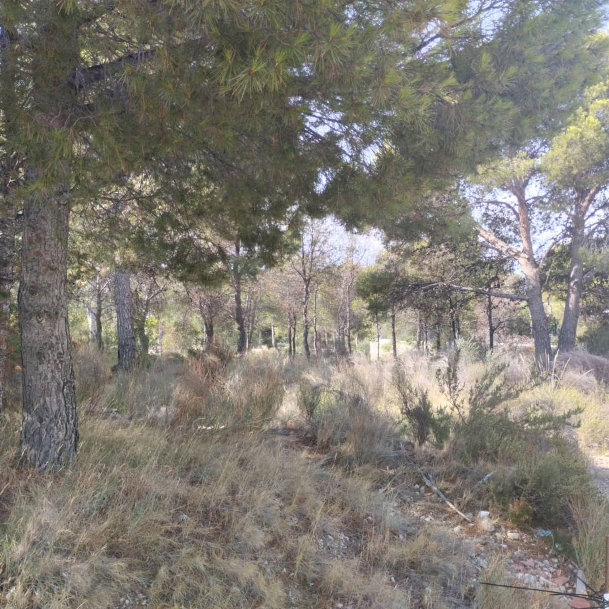 Grunde uden byggetilladelser til salg i Finestrat - € 900.000 (Ref: 9274074)