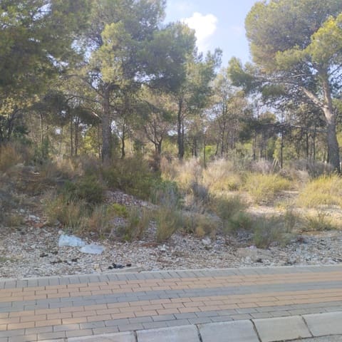 Grunde uden byggetilladelser til salg i Finestrat - € 900.000 (Ref: 9274074)