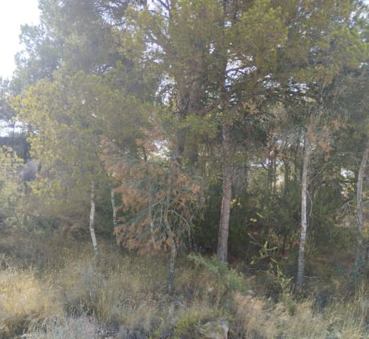 Grunde uden byggetilladelser til salg i Finestrat - € 900.000 (Ref: 9274074)