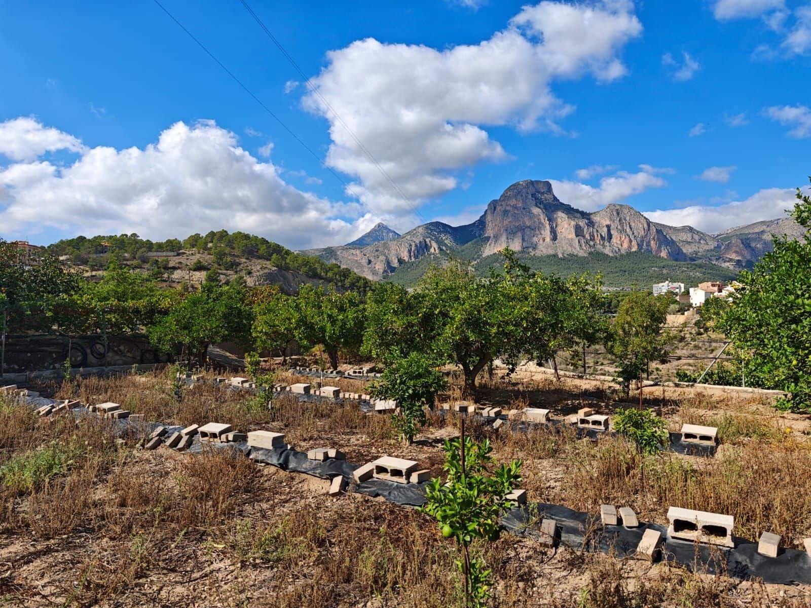 Terre non Aménagée à vendre à La Nucia - 55 000 € (Ref: 9340740)