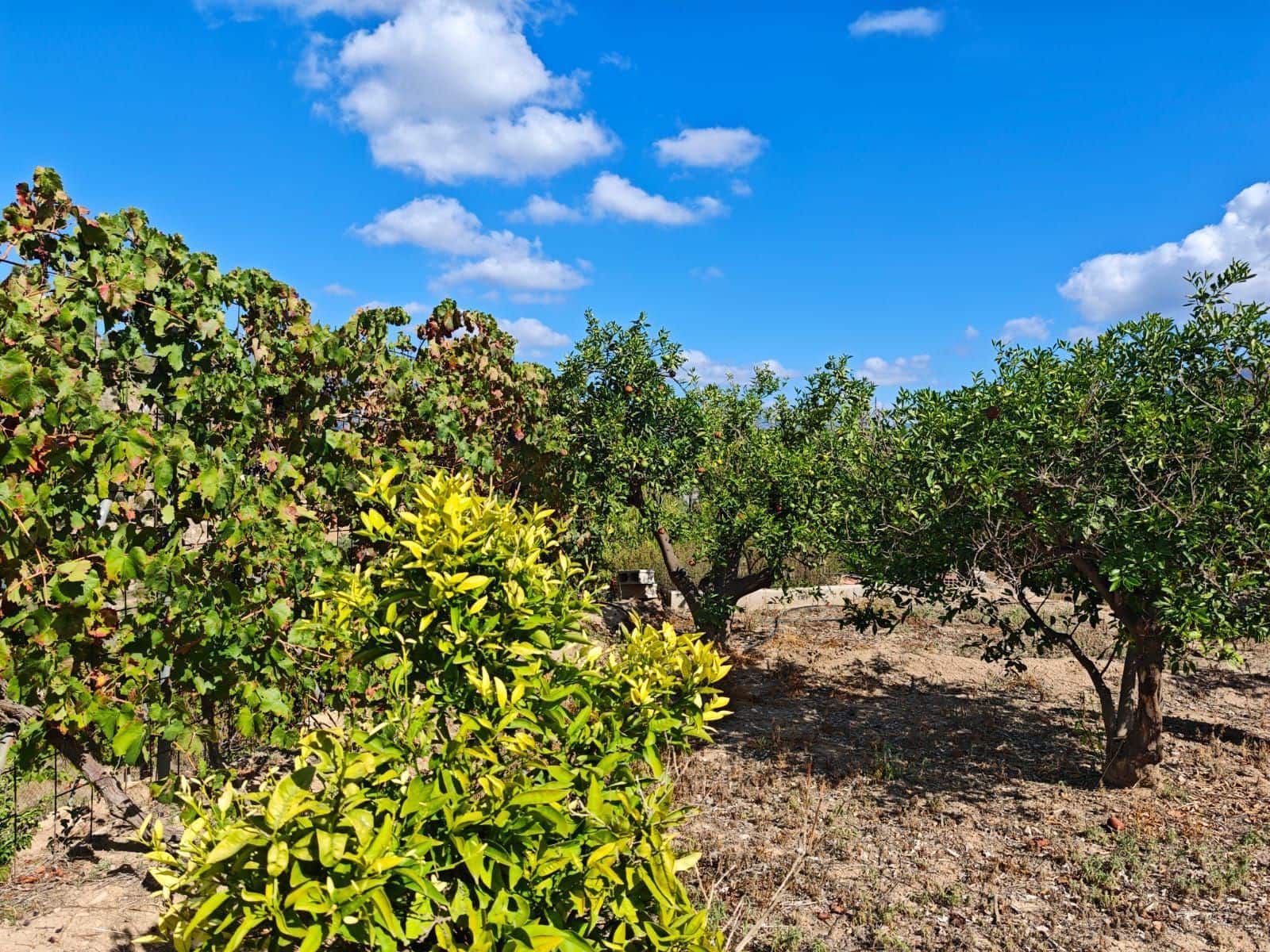 Terre non Aménagée à vendre à La Nucia - 55 000 € (Ref: 9340740)