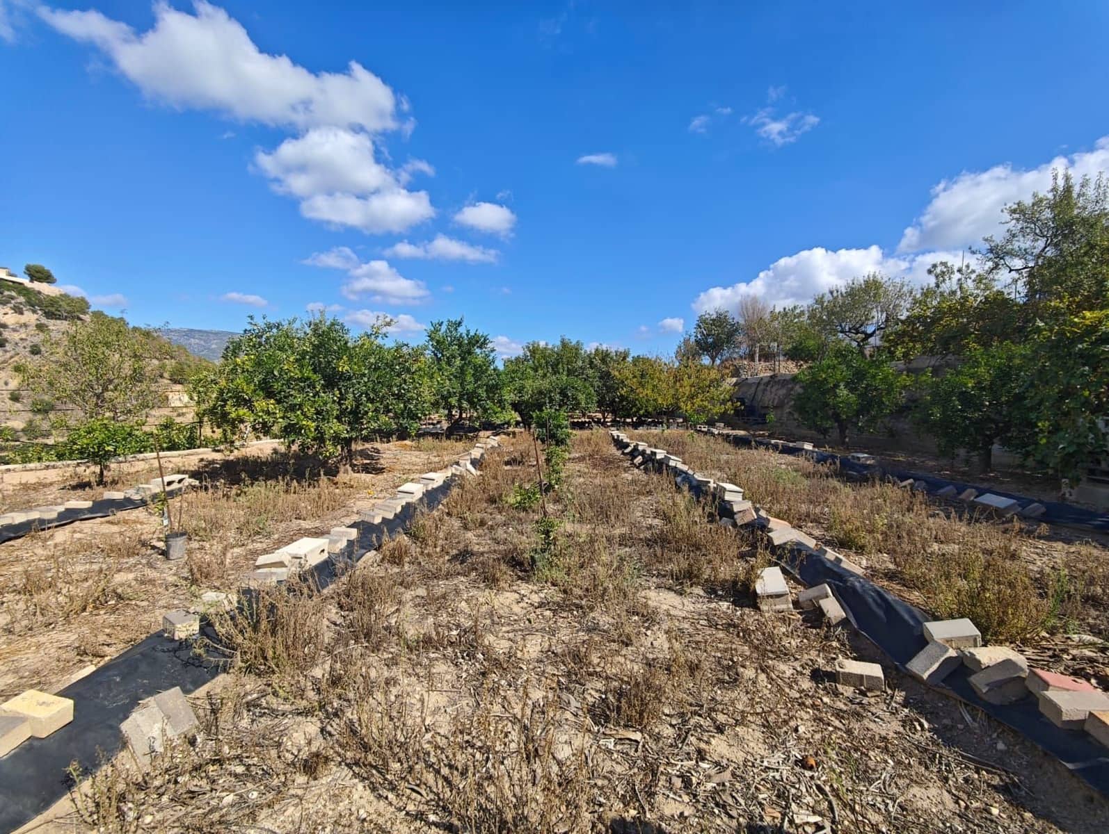 Terre non Aménagée à vendre à La Nucia - 55 000 € (Ref: 9340740)