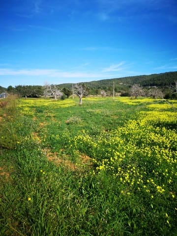 Area Edificabile in vendita in Sant Joan de Labritja - 1.550.000 € (Rif: 10080543)