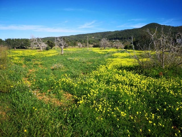 Area Edificabile in vendita in Sant Joan de Labritja - 1.550.000 € (Rif: 10080543)