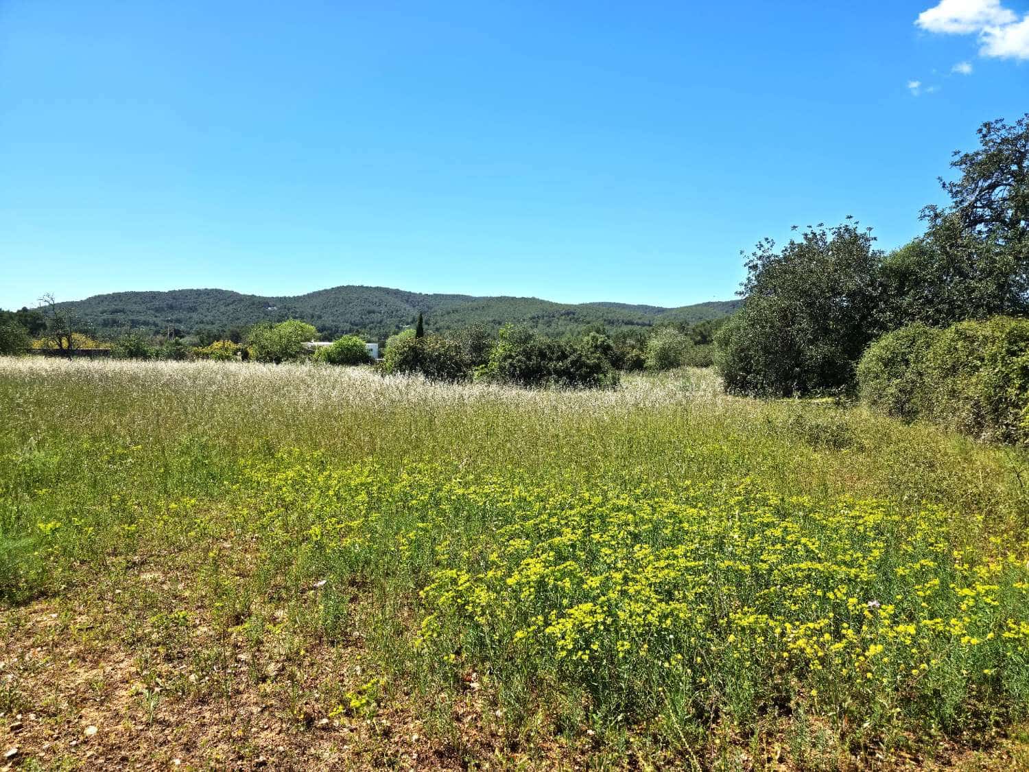 Area Edificabile in vendita in Sant Joan de Labritja - 1.550.000 € (Rif: 10080543)