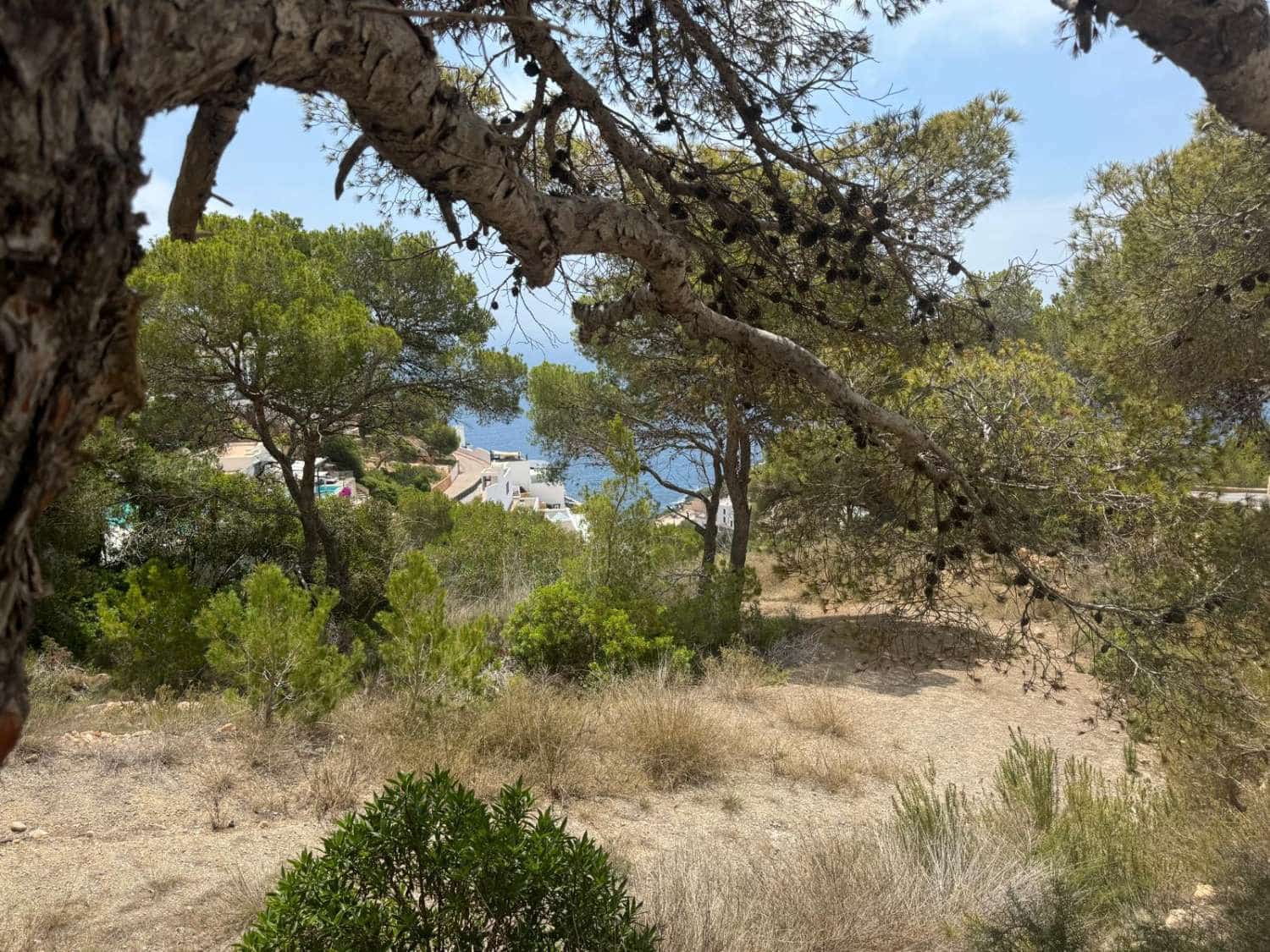 Byggegrund til salg i Santa Eulalia / Santa Eularia - € 2.940.000 (Ref: 9142689)