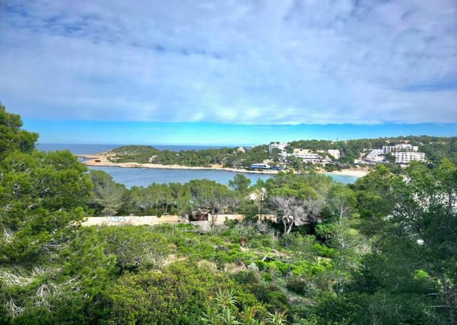 Działka budowlana na sprzedaż w Sant Joan de Labritja - 3 100 000 € (Ref: 9611179)