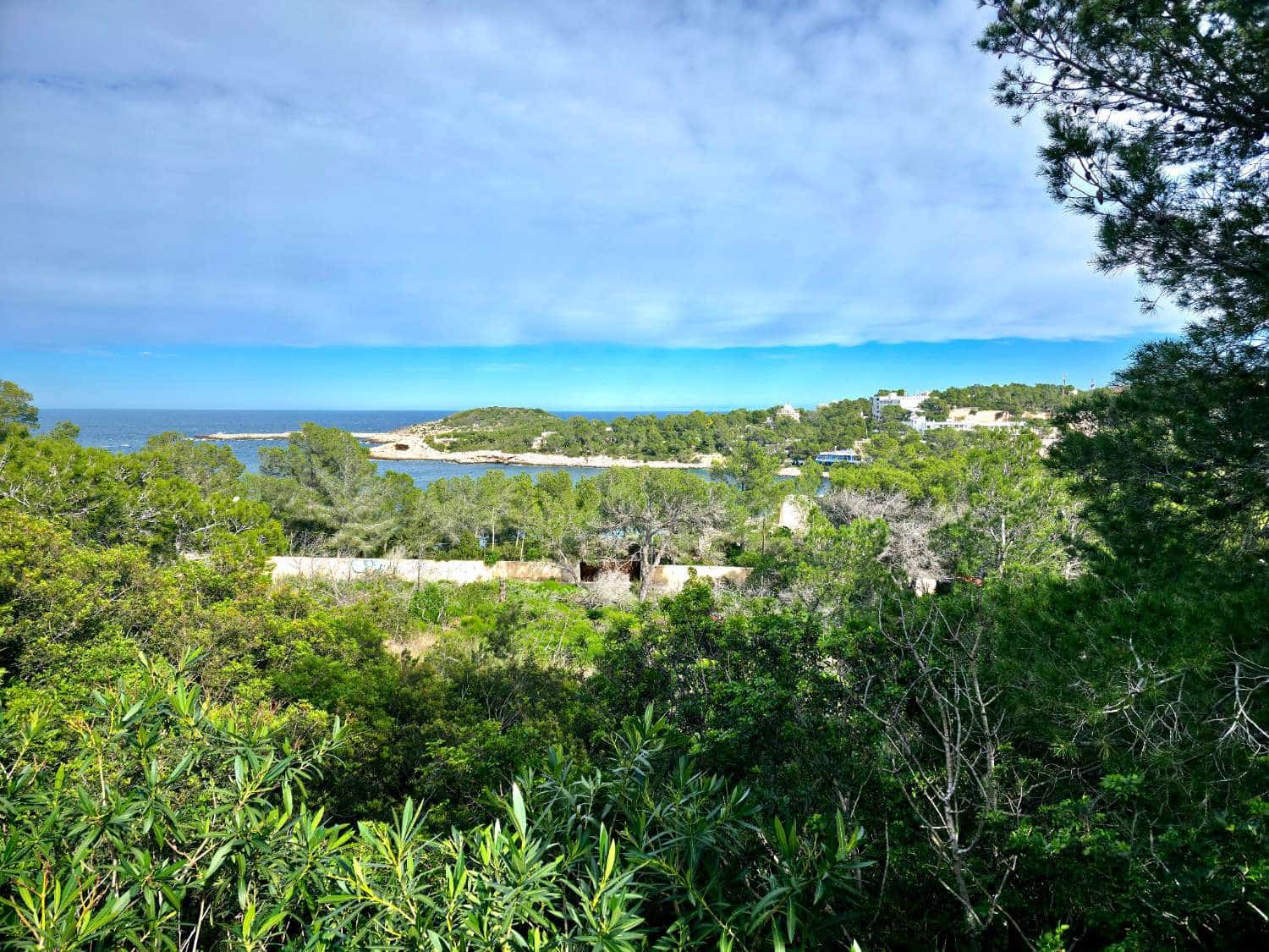 Działka budowlana na sprzedaż w Sant Joan de Labritja - 3 100 000 € (Ref: 9611179)