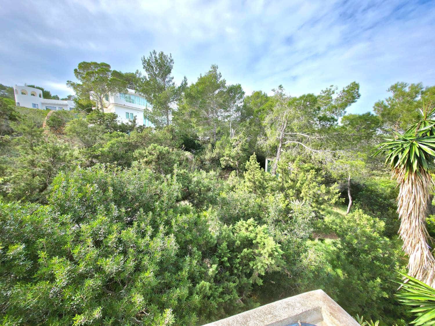 Działka budowlana na sprzedaż w Sant Joan de Labritja - 3 100 000 € (Ref: 9611179)