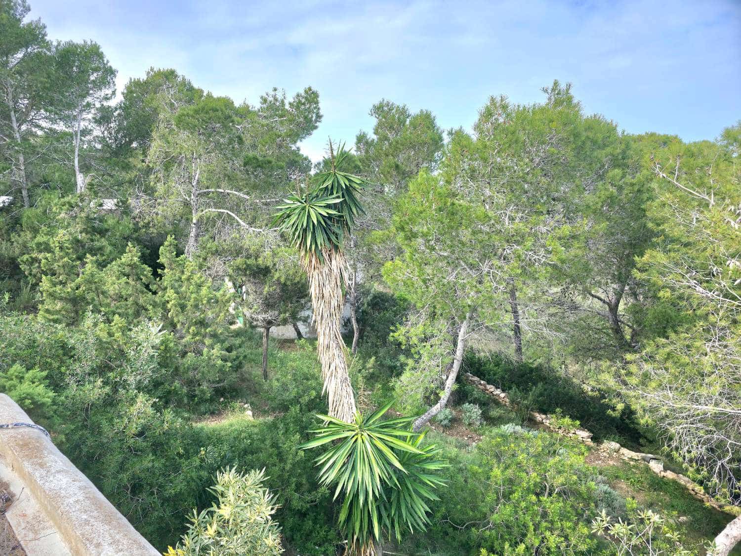 Działka budowlana na sprzedaż w Sant Joan de Labritja - 3 100 000 € (Ref: 9611179)