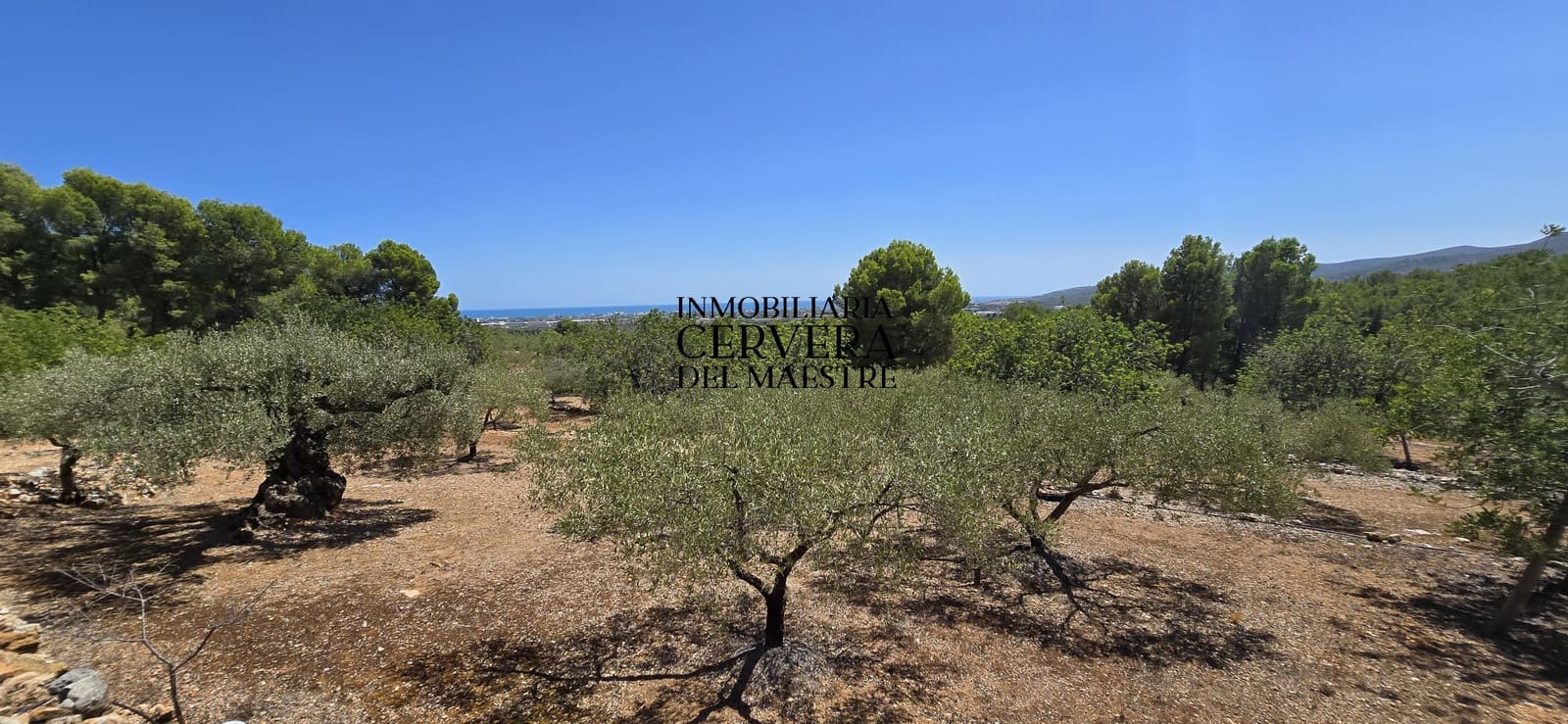 Bauplatz zu verkaufen in Peniscola - 95.000 € (Ref: 10033049)