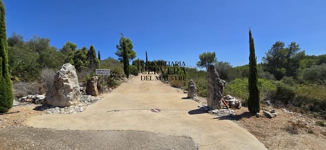 Bauplatz zu verkaufen in Peñíscola - 95.000 € (Ref: 10033049)
