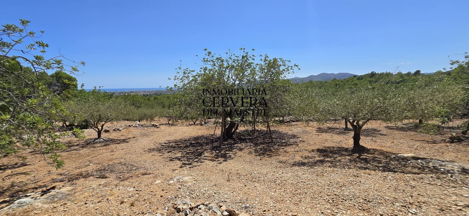Bauplatz zu verkaufen in Peniscola - 95.000 € (Ref: 10033049)