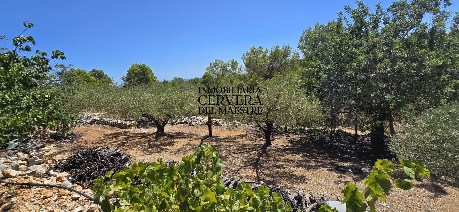Bauplatz zu verkaufen in Peniscola - 95.000 € (Ref: 10033049)