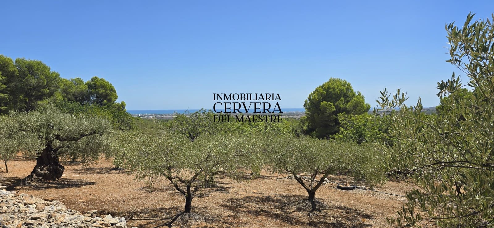 Bauplatz zu verkaufen in Peniscola - 95.000 € (Ref: 10033049)