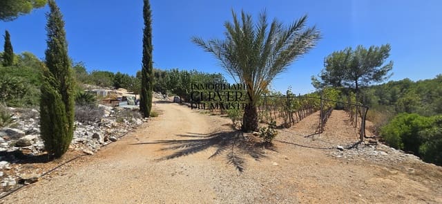 Bauplatz zu verkaufen in Peñíscola - 95.000 € (Ref: 10033049)