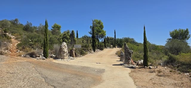 Bauplatz zu verkaufen in Peñíscola - 95.000 € (Ref: 10033049)