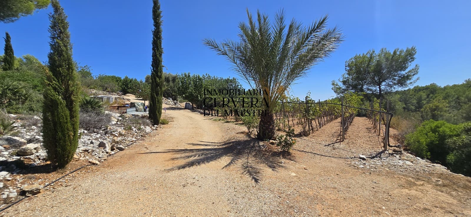 Bauplatz zu verkaufen in Peniscola - 95.000 € (Ref: 10033049)