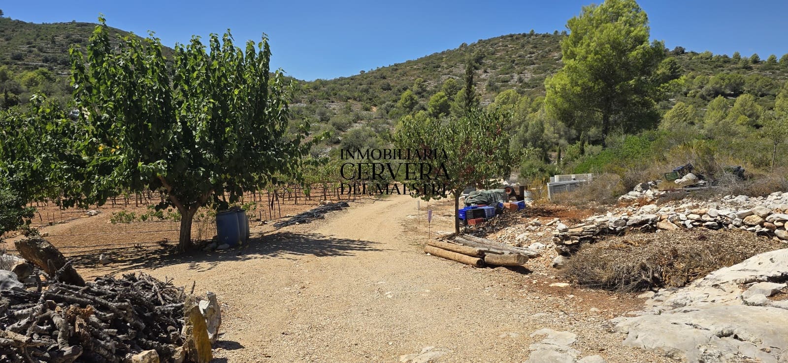 Bauplatz zu verkaufen in Peniscola - 95.000 € (Ref: 10033049)