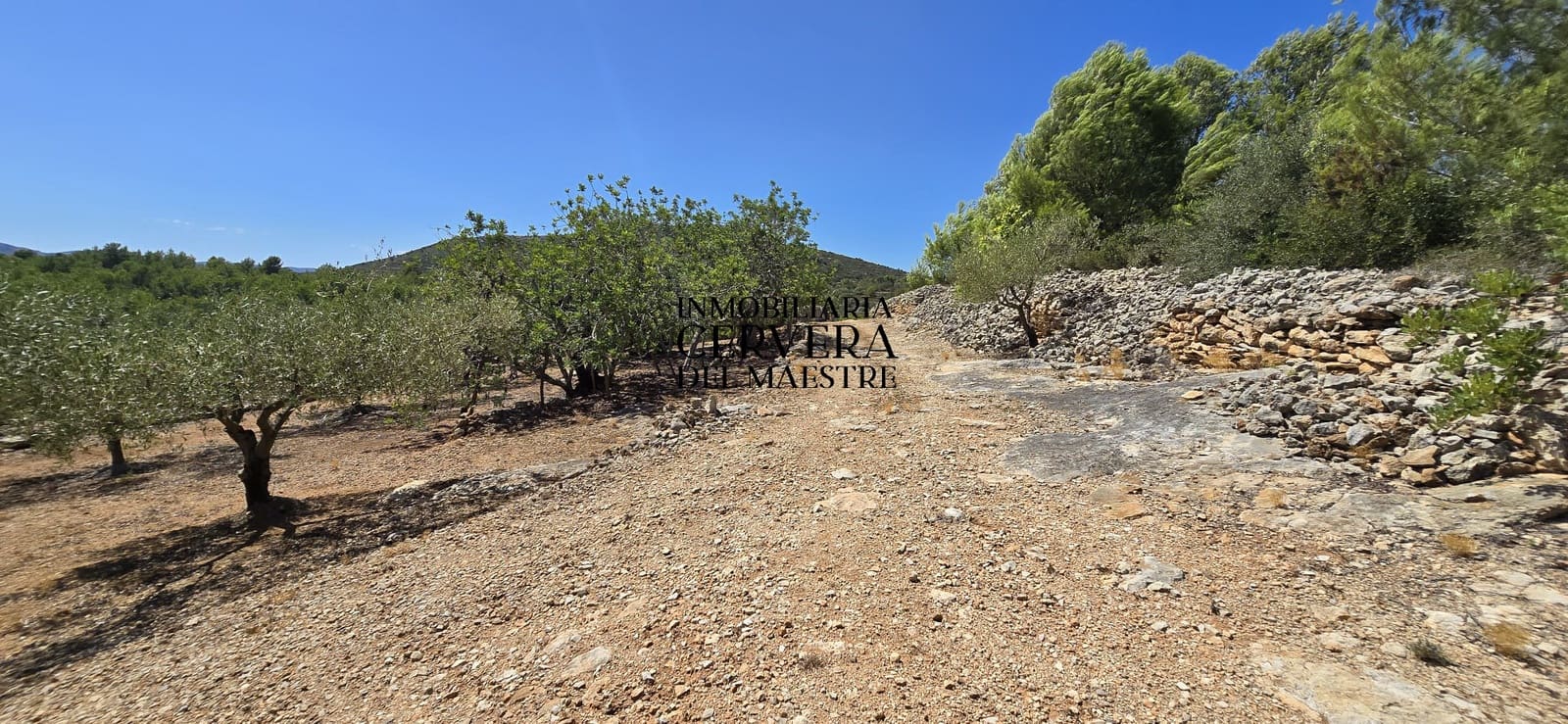 Bauplatz zu verkaufen in Peniscola - 95.000 € (Ref: 10033049)
