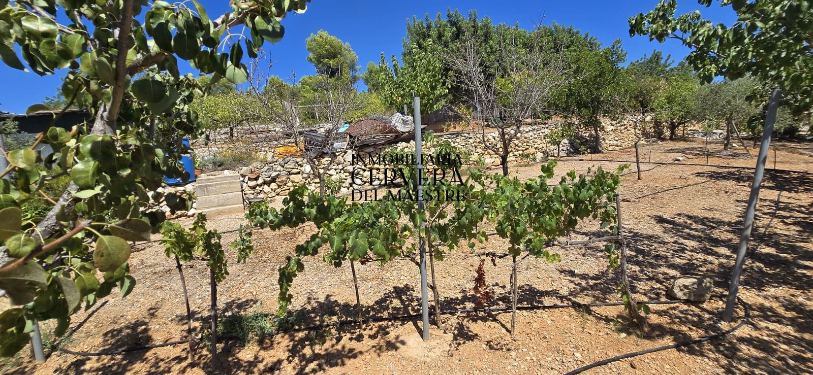Bauplatz zu verkaufen in Peniscola - 95.000 € (Ref: 10033049)