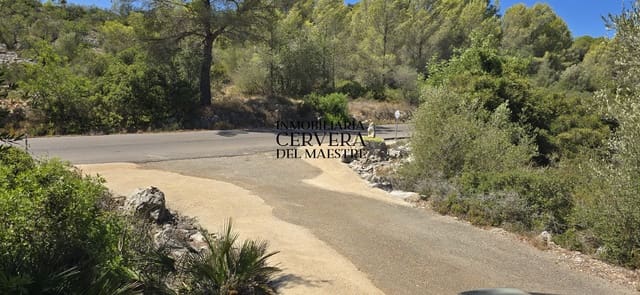 Bauplatz zu verkaufen in Peñíscola - 95.000 € (Ref: 10033049)