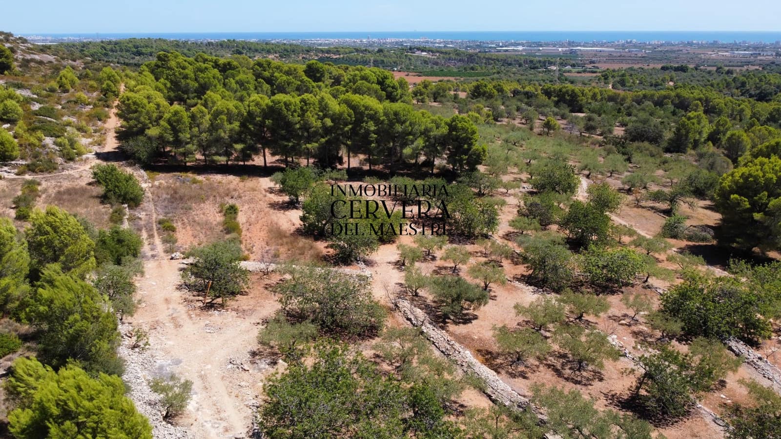 Bauplatz zu verkaufen in Peniscola - 95.000 € (Ref: 10033049)