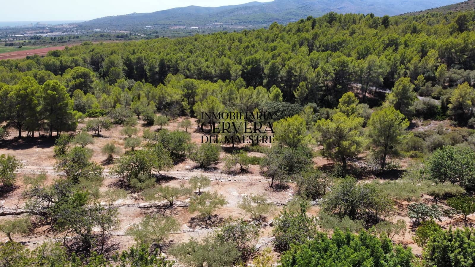 Bauplatz zu verkaufen in Peniscola - 95.000 € (Ref: 10033049)
