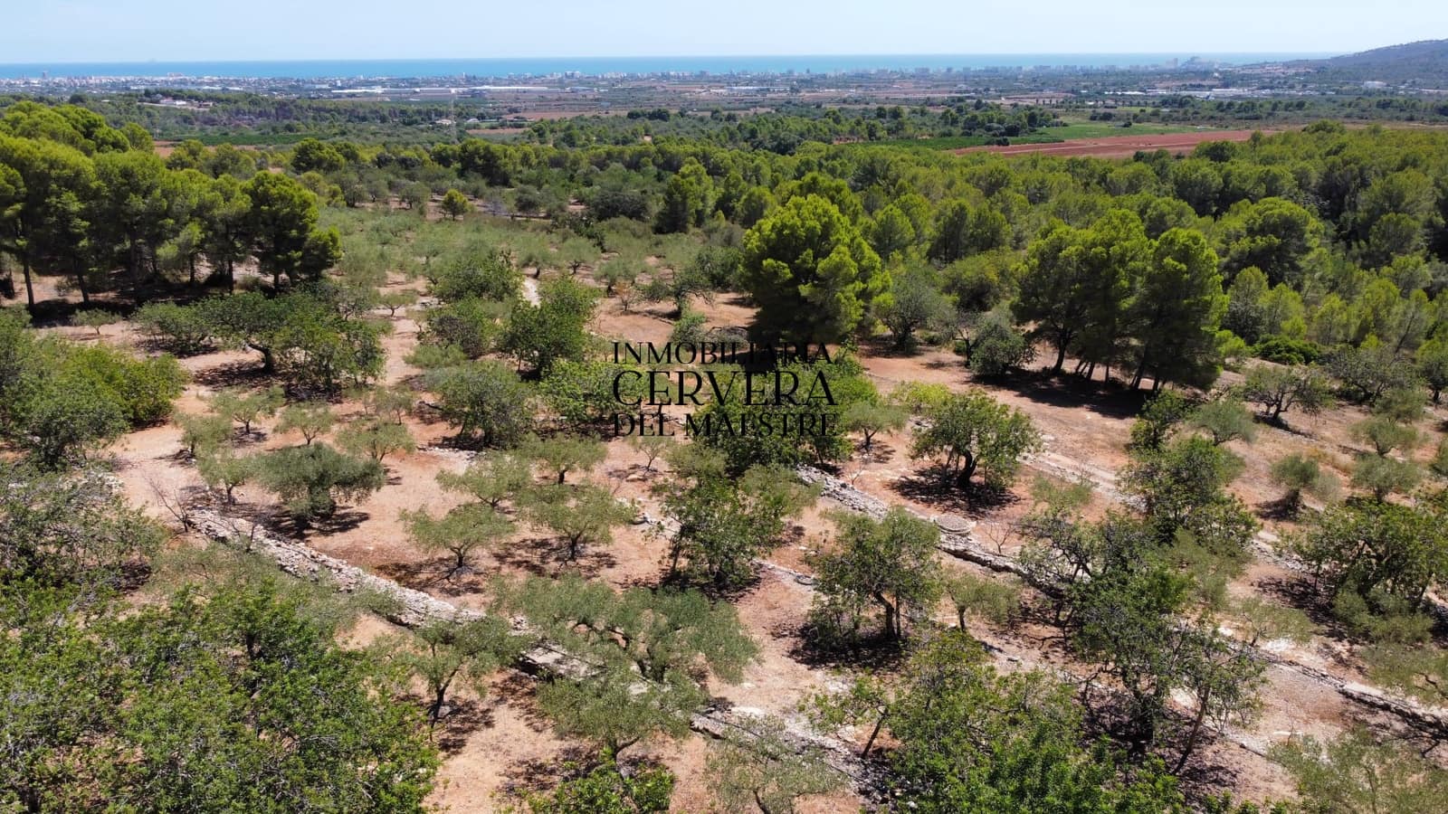 Bauplatz zu verkaufen in Peniscola - 95.000 € (Ref: 10033049)