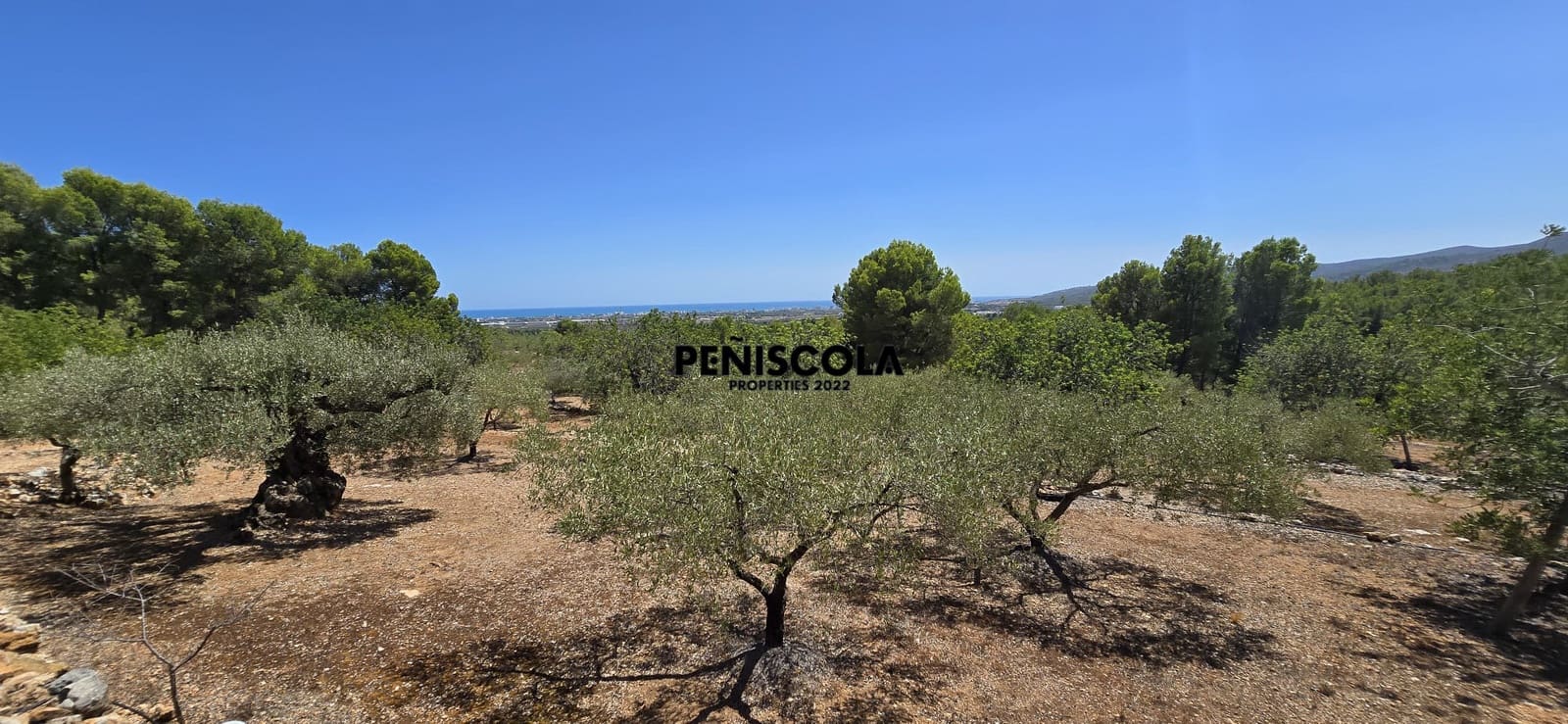 Area Edificabile in vendita in Peniscola - 95.000 € (Rif: 10033049)