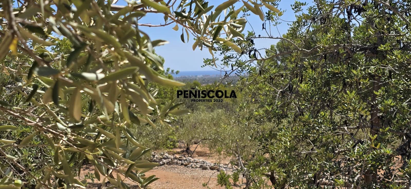 Area Edificabile in vendita in Peniscola - 95.000 € (Rif: 10033049)