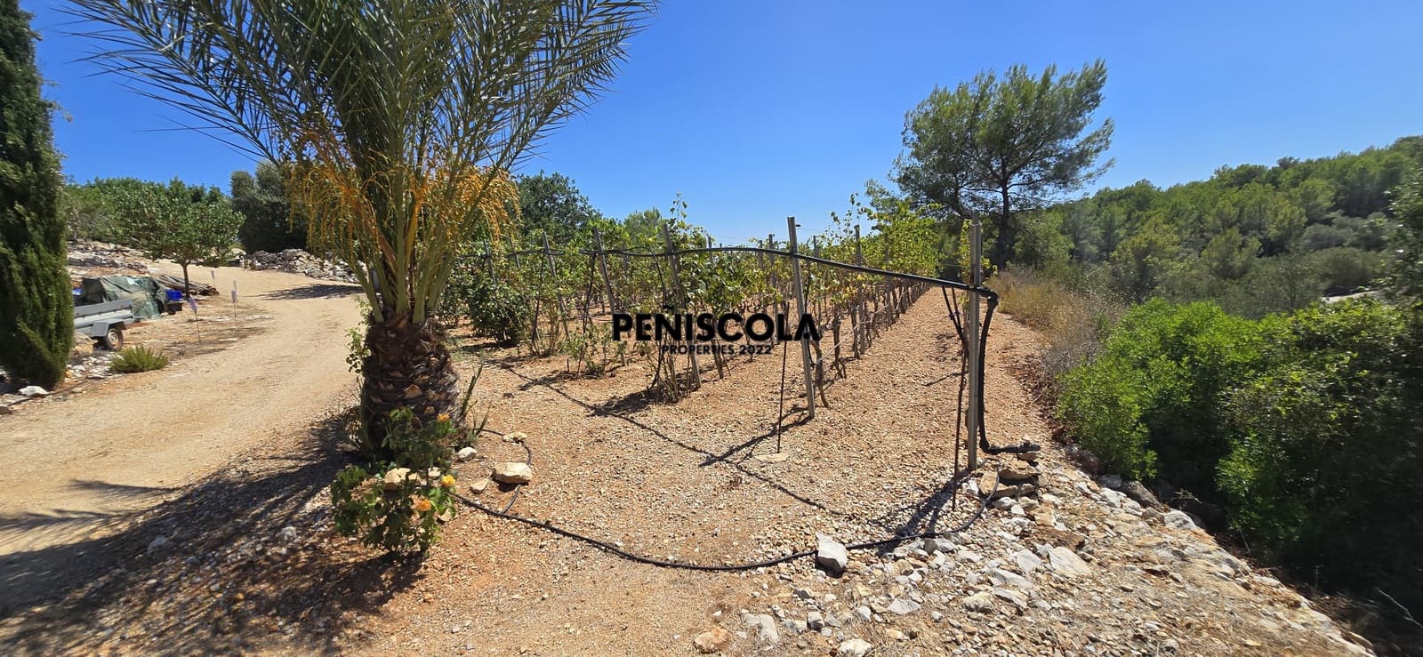 Area Edificabile in vendita in Peniscola - 95.000 € (Rif: 10033049)