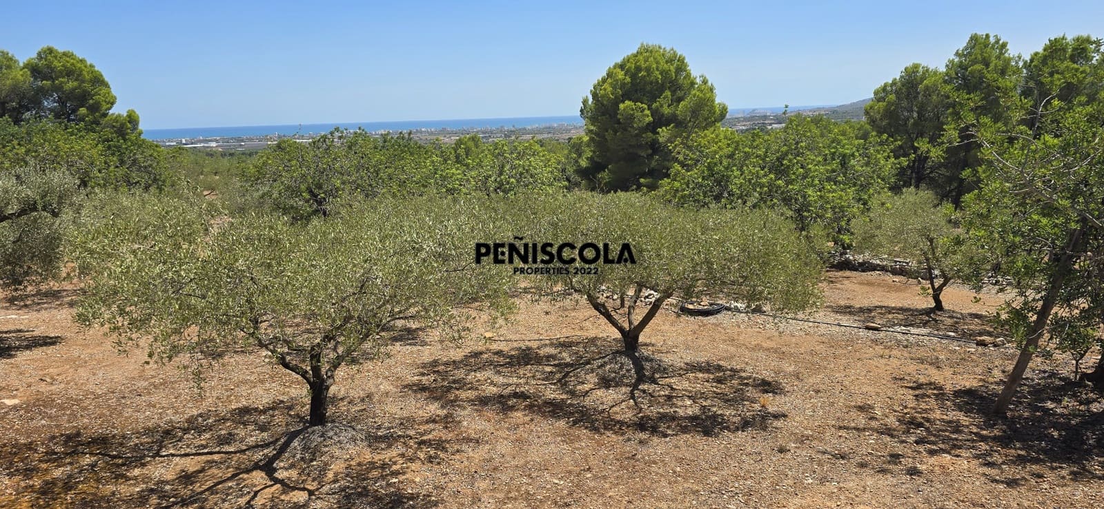 Area Edificabile in vendita in Peniscola - 95.000 € (Rif: 10033049)