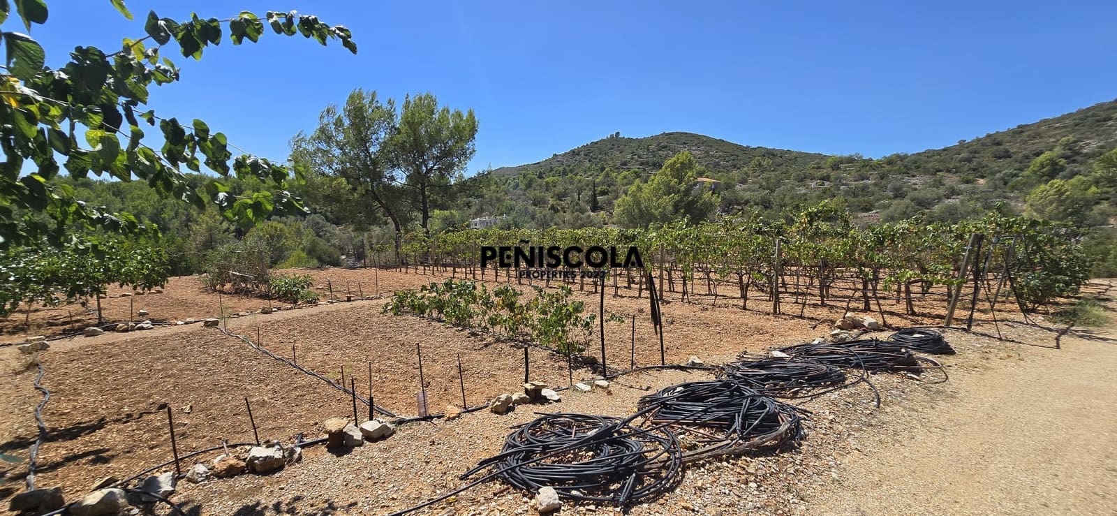Area Edificabile in vendita in Peniscola - 95.000 € (Rif: 10033049)