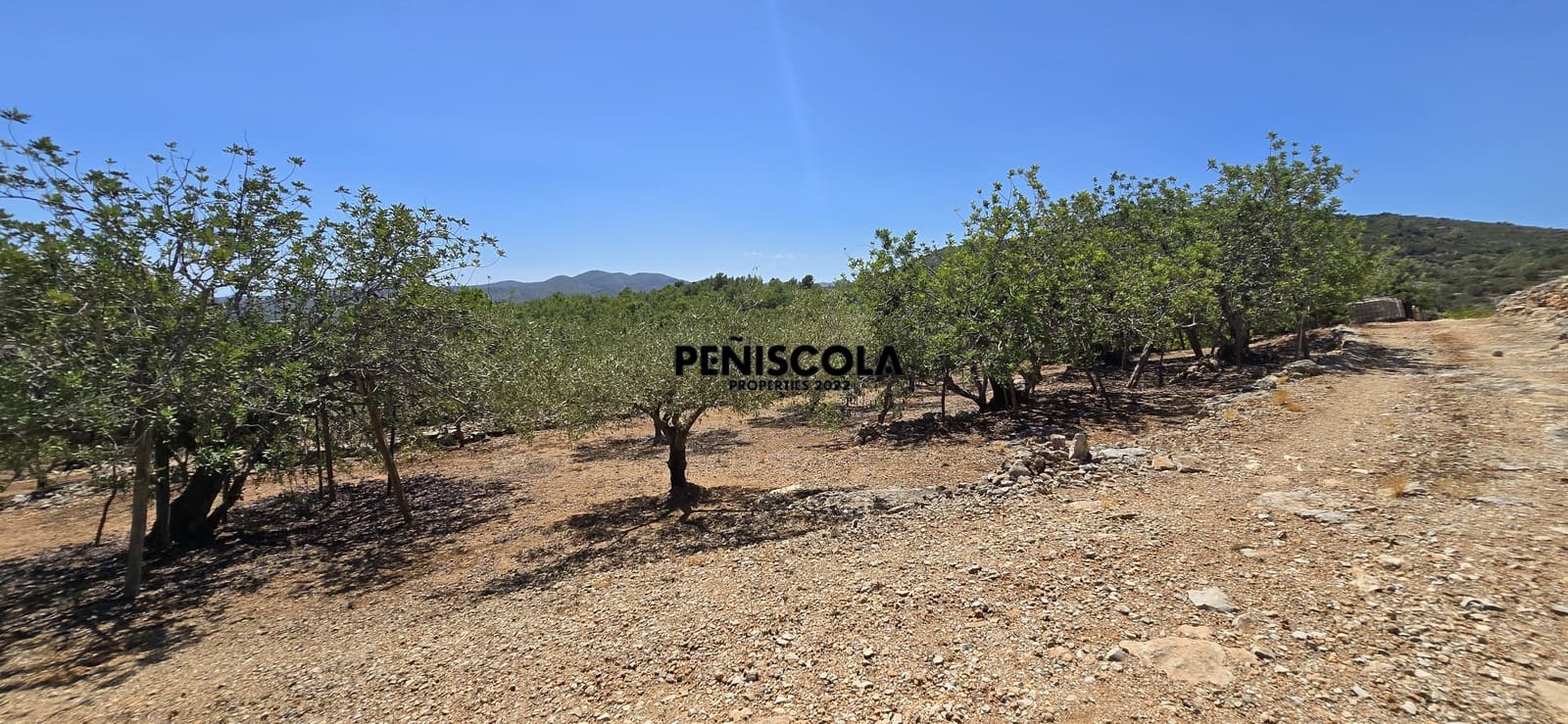 Area Edificabile in vendita in Peniscola - 95.000 € (Rif: 10033049)