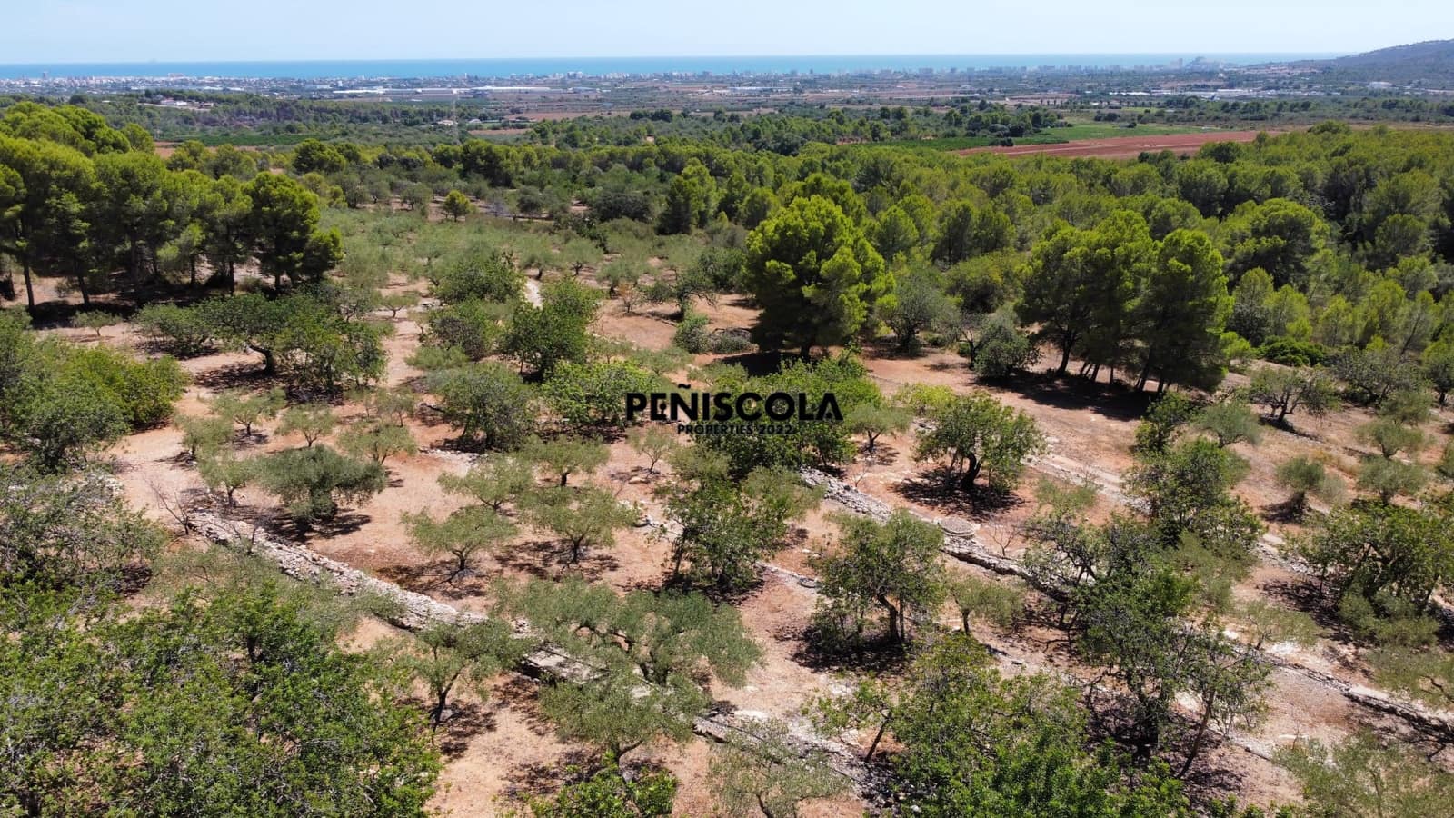 Area Edificabile in vendita in Peniscola - 95.000 € (Rif: 10033049)