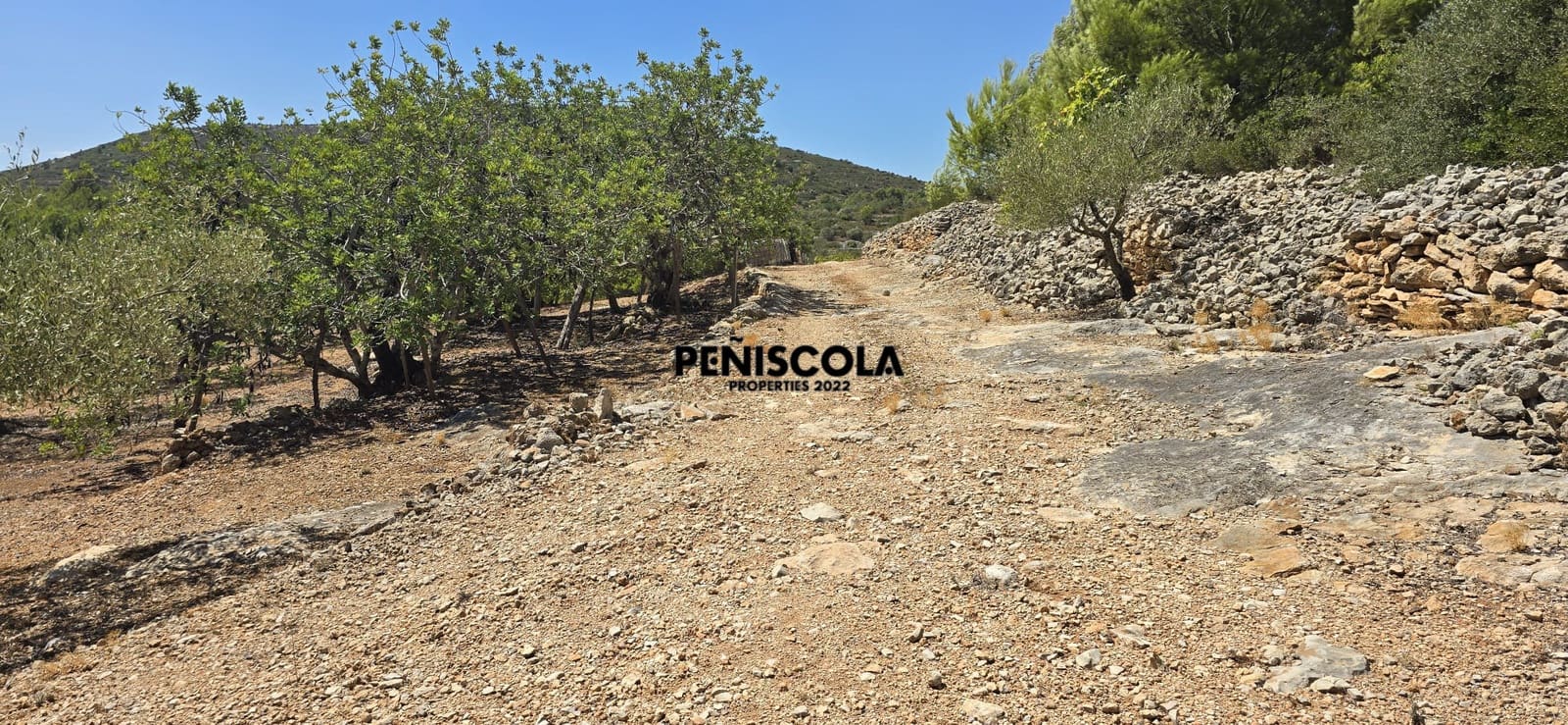 Area Edificabile in vendita in Peniscola - 95.000 € (Rif: 10033049)