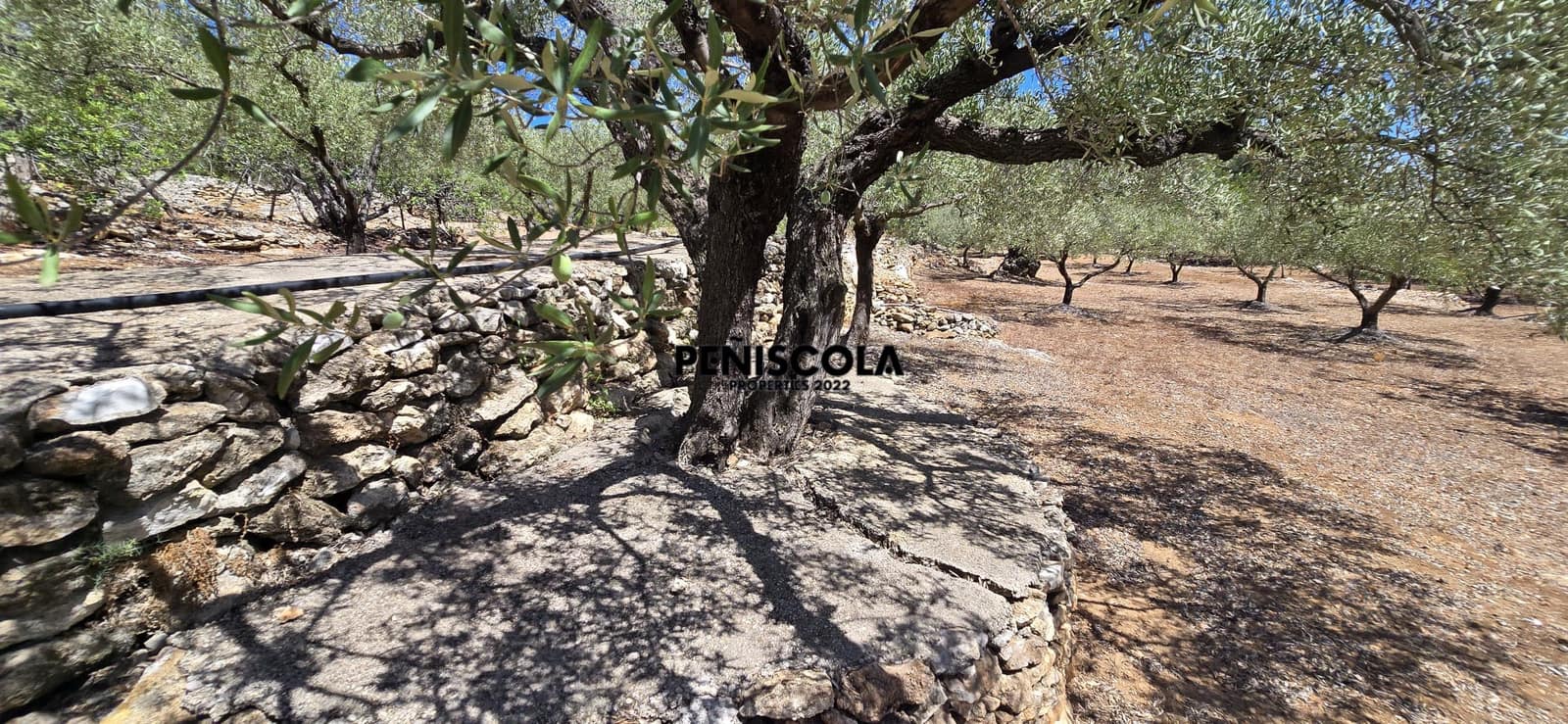 Area Edificabile in vendita in Peniscola - 95.000 € (Rif: 10033049)