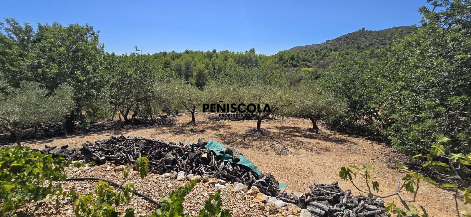 Area Edificabile in vendita in Peniscola - 95.000 € (Rif: 10033049)